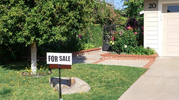 10 Astuces Créatives pour Transformer Votre Abri de Jardin en Havre de Paix